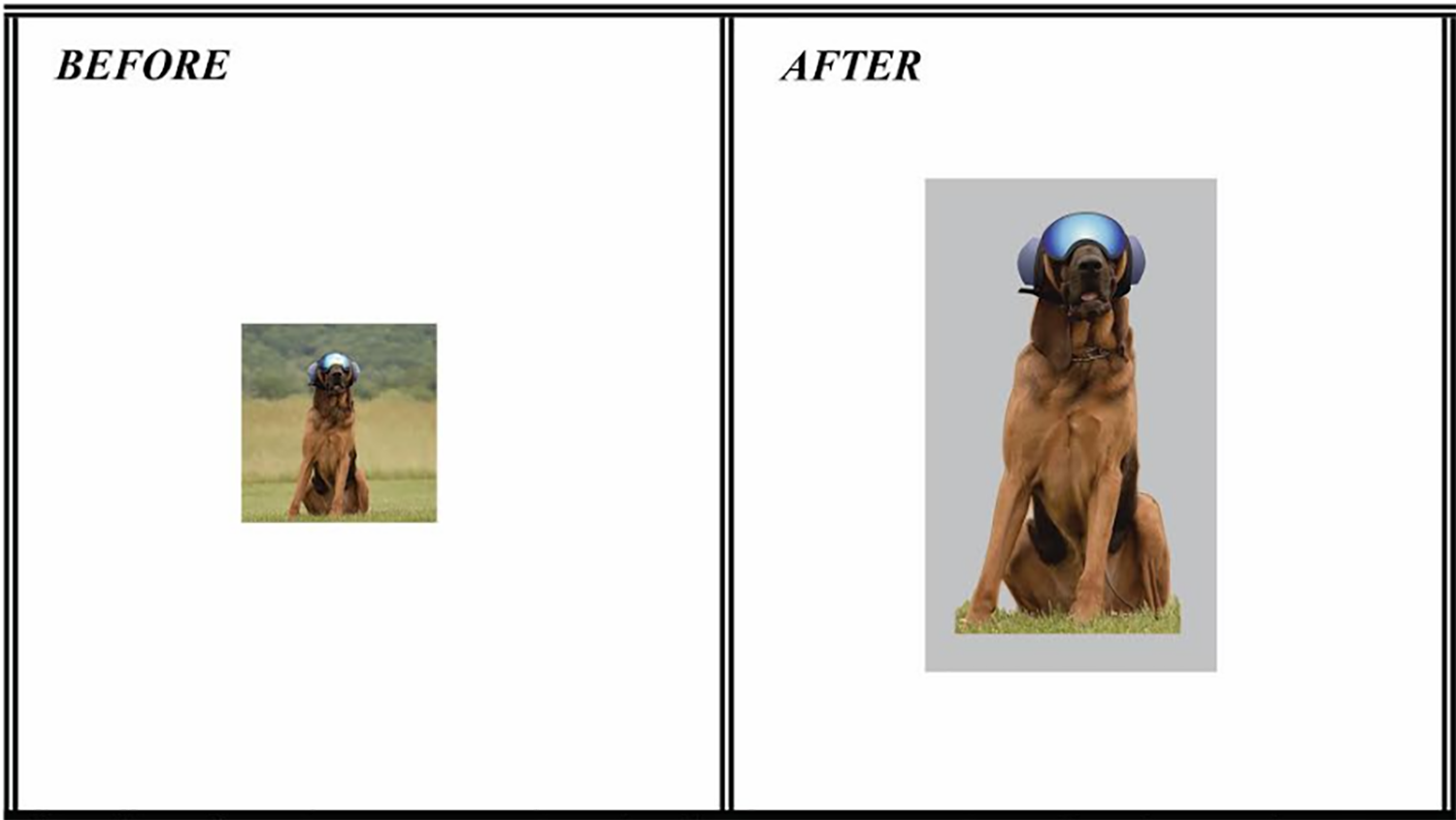 lorem ipsum dolor sit